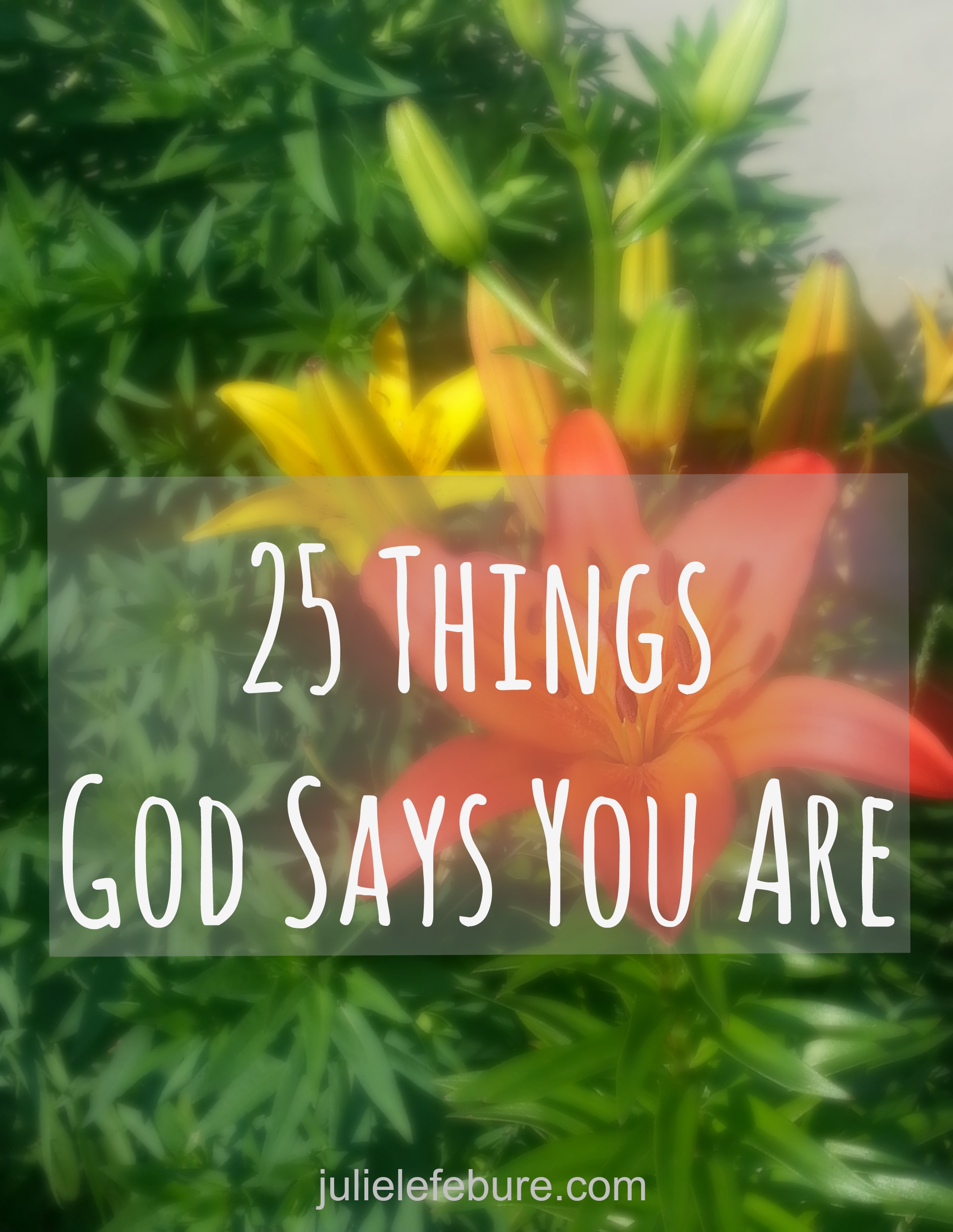 Who God Says You Are Julie Lefebure