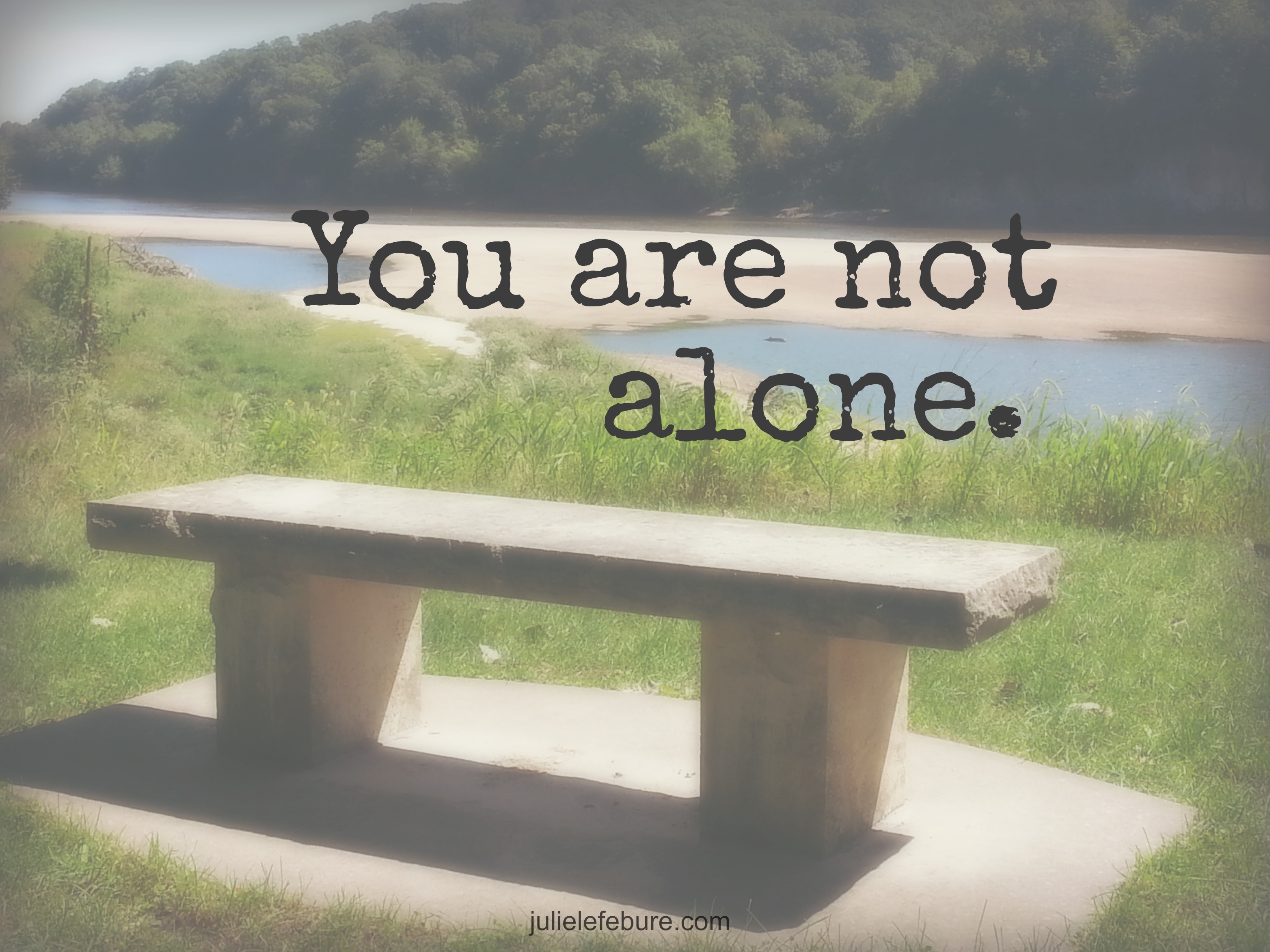 Friend, You Are Not Alone - Julie Lefebure