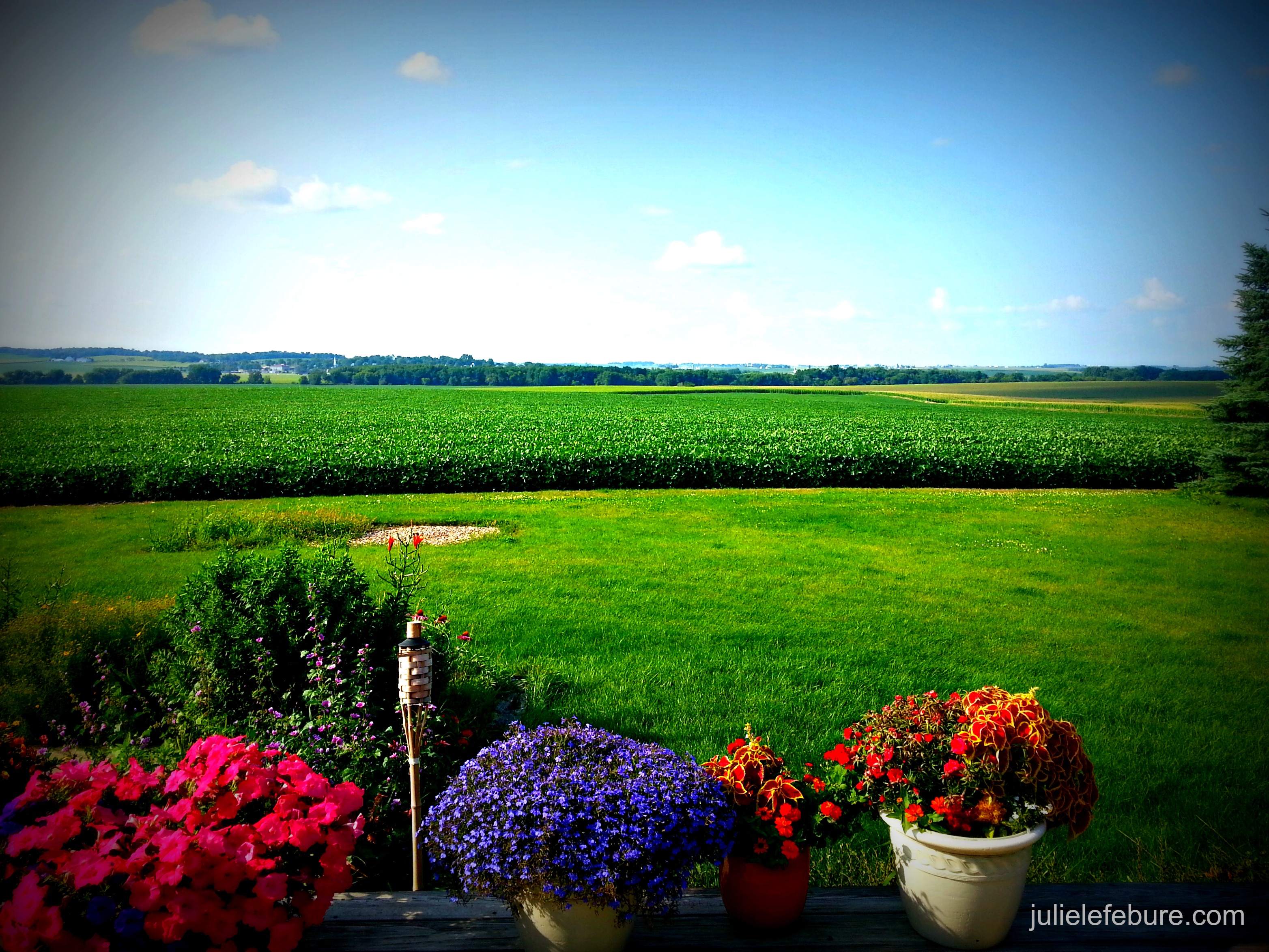 A Pause of Peacefulness