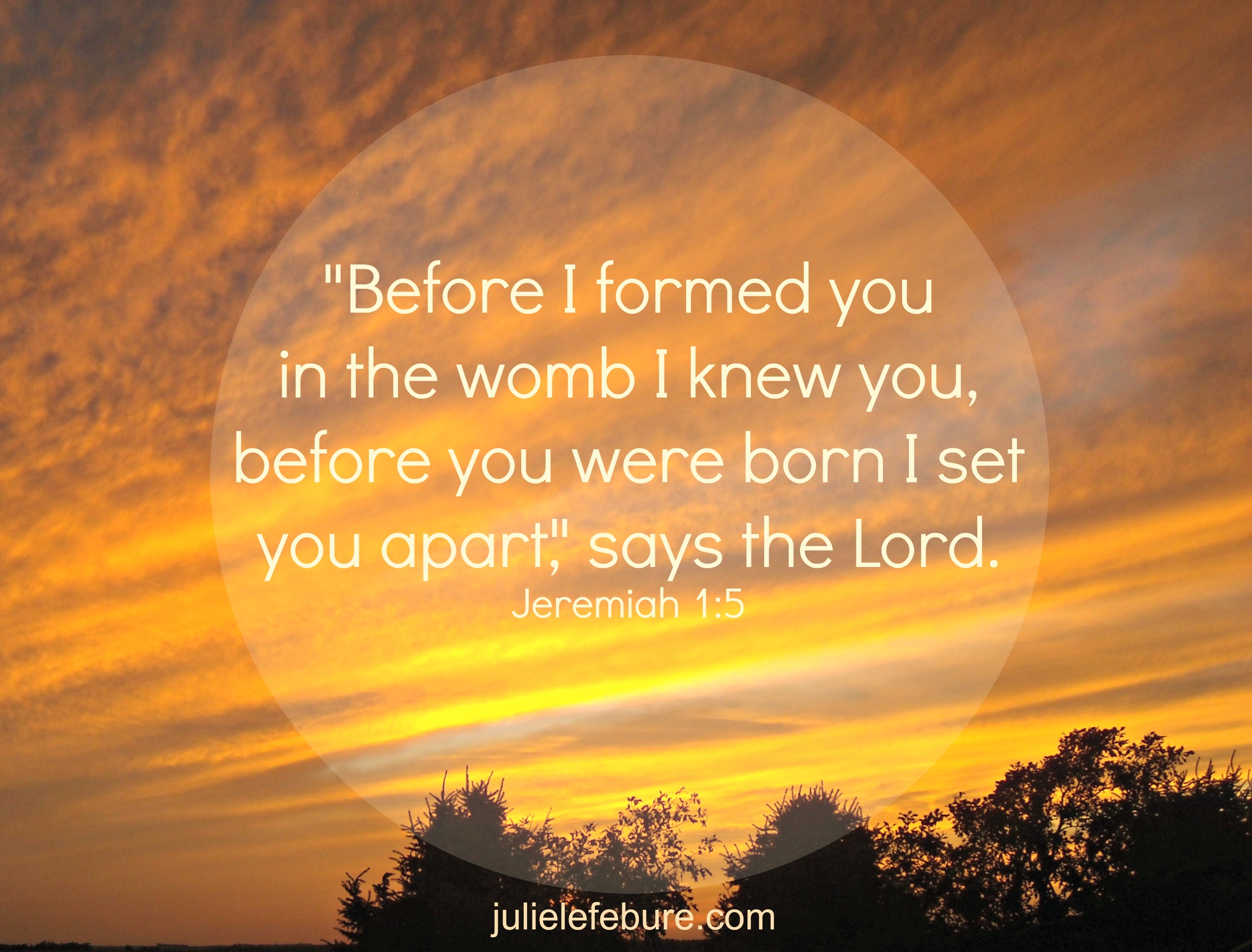 Wristband Or Not, You Are A V.I.P.