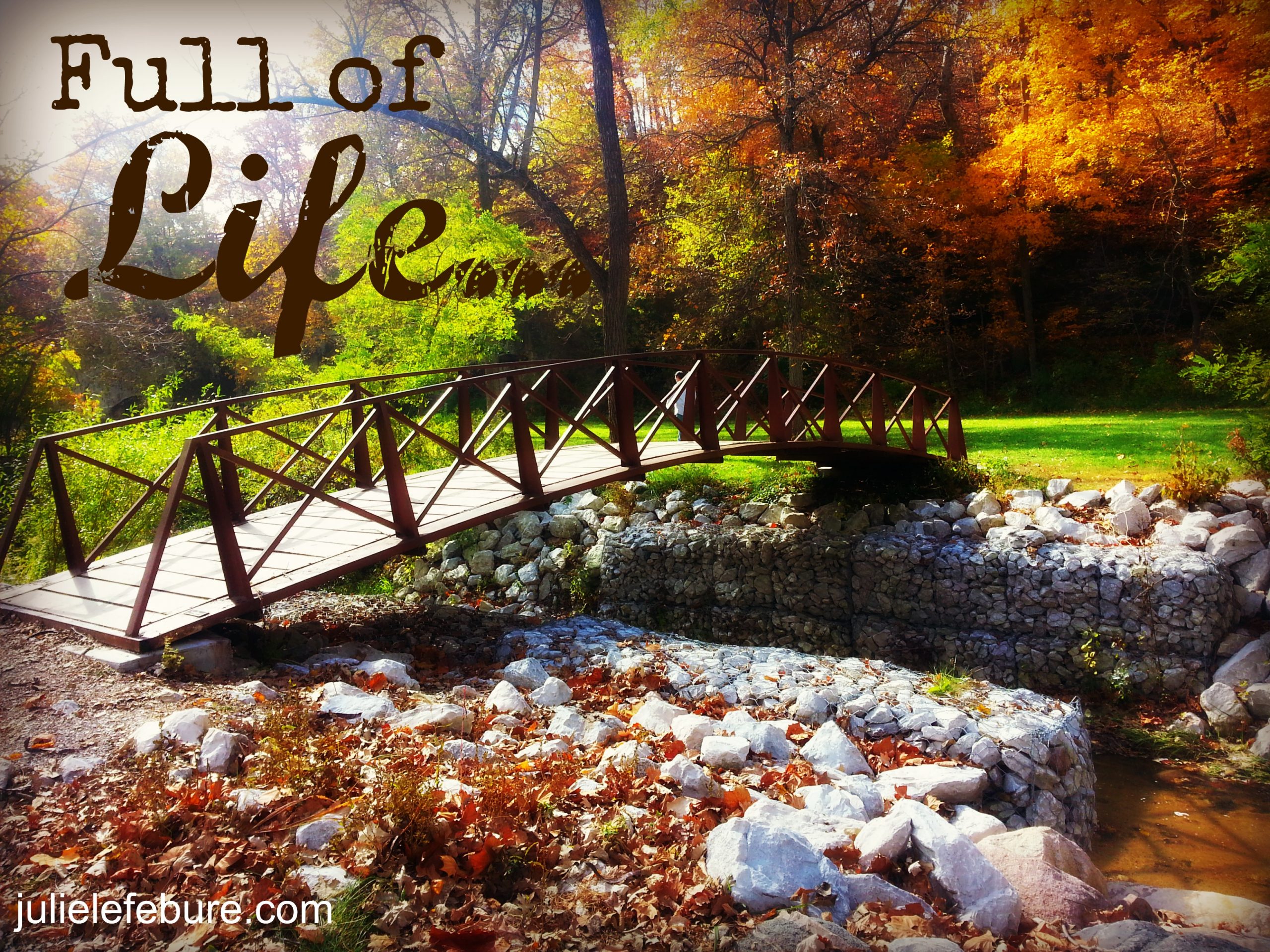 What I Learned This Week – November 22