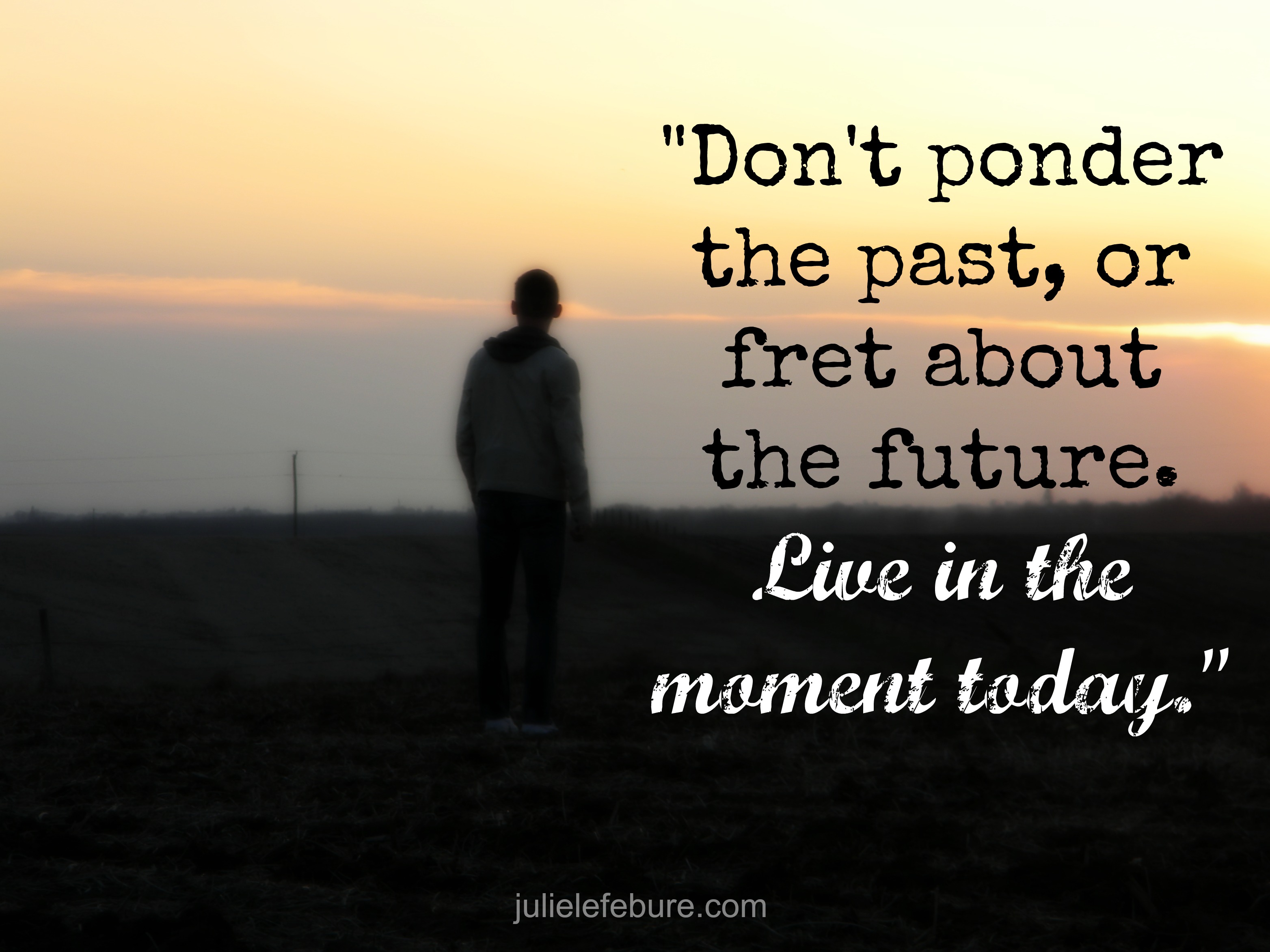 Living In The Moment - Julie Lefebure