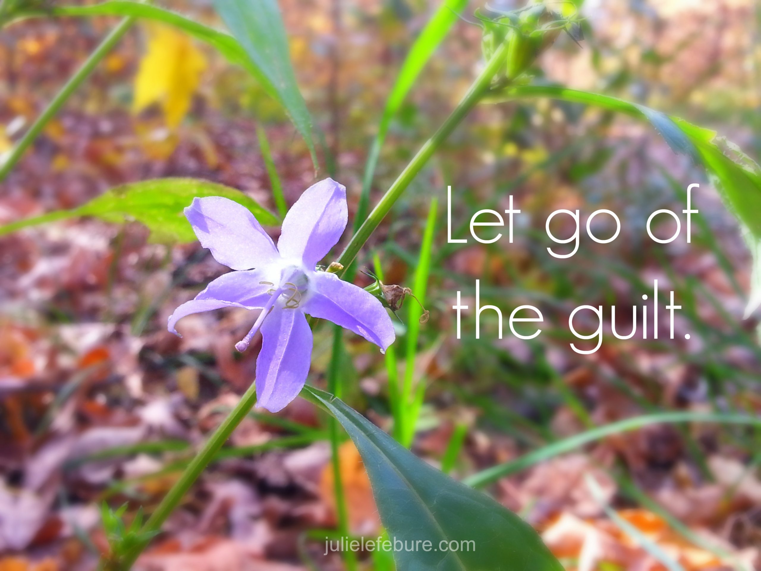 Let Go Of The Guilt