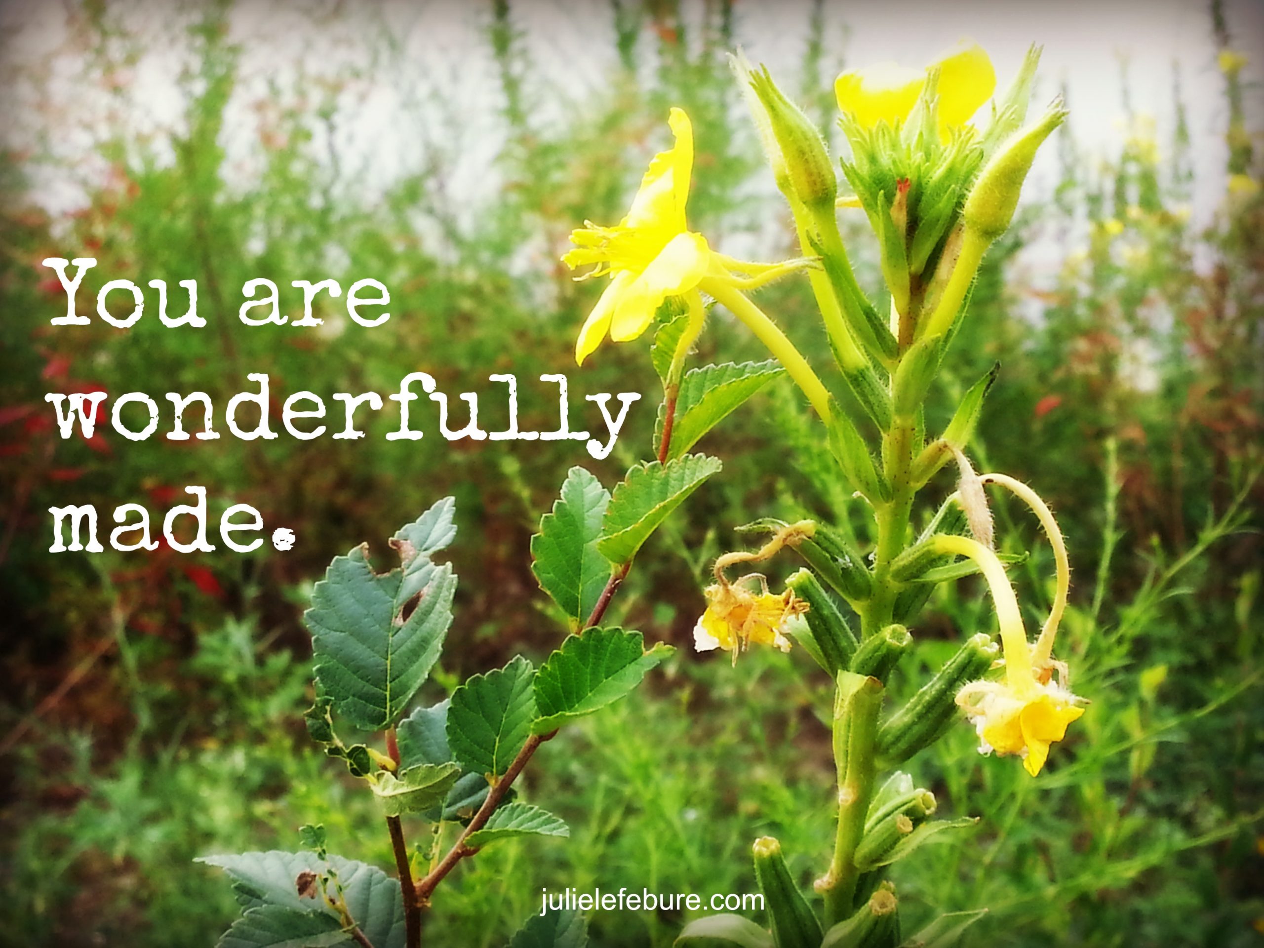 Friend, You Are Wonderfully Made