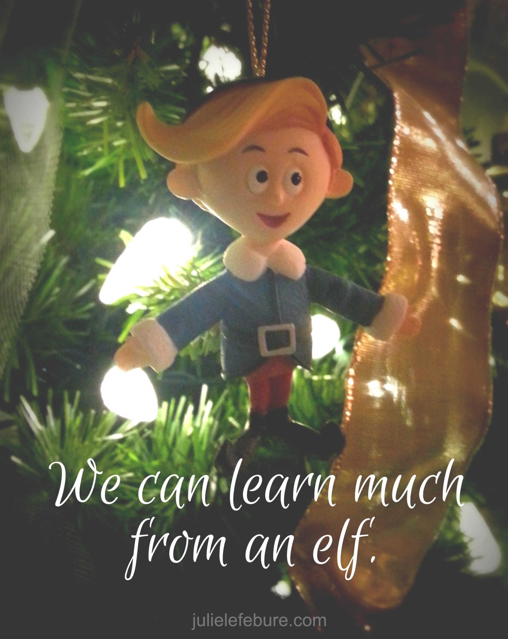 We Can Learn Much From An Elf