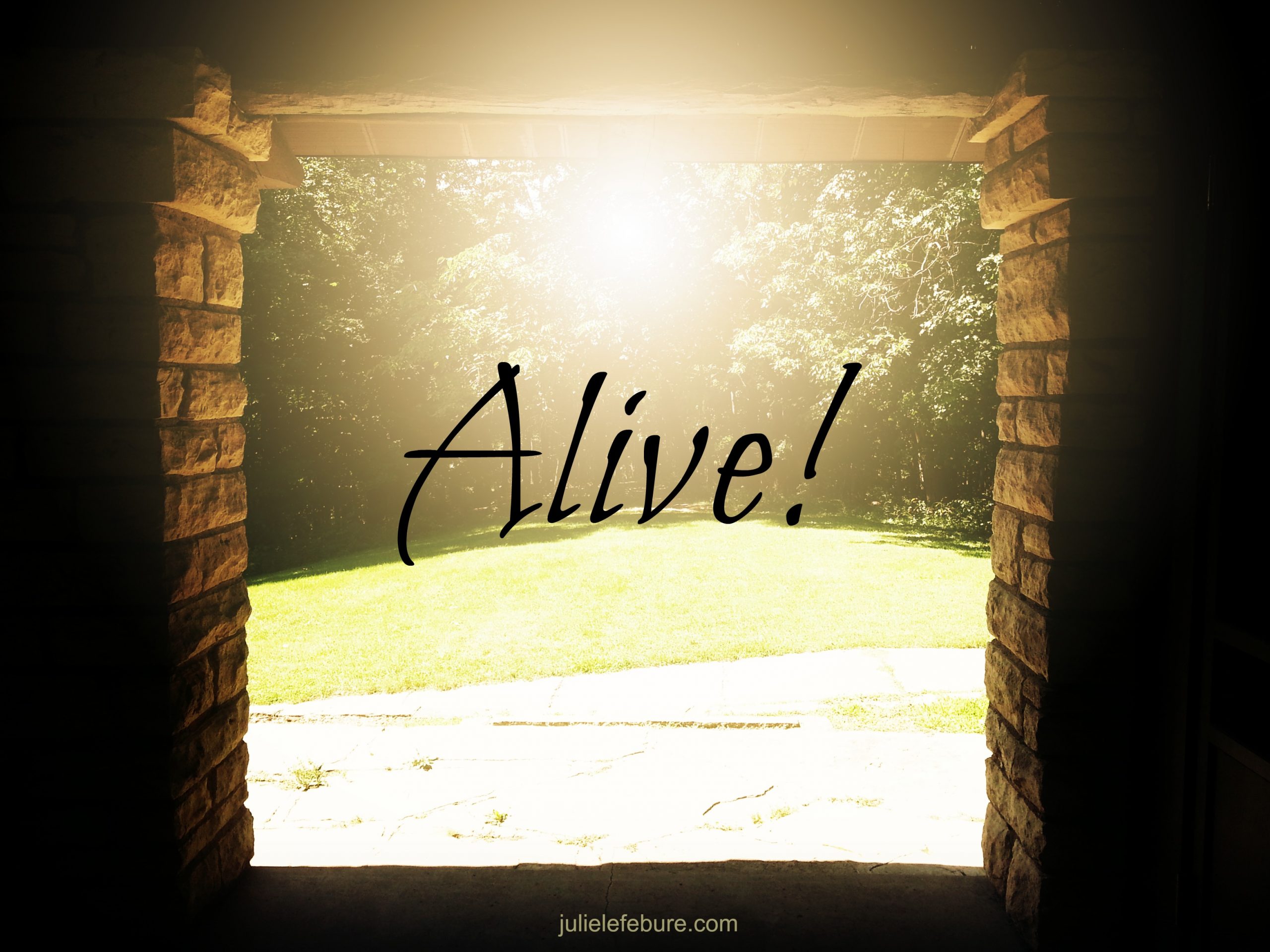 Five Minute Friday – Alive