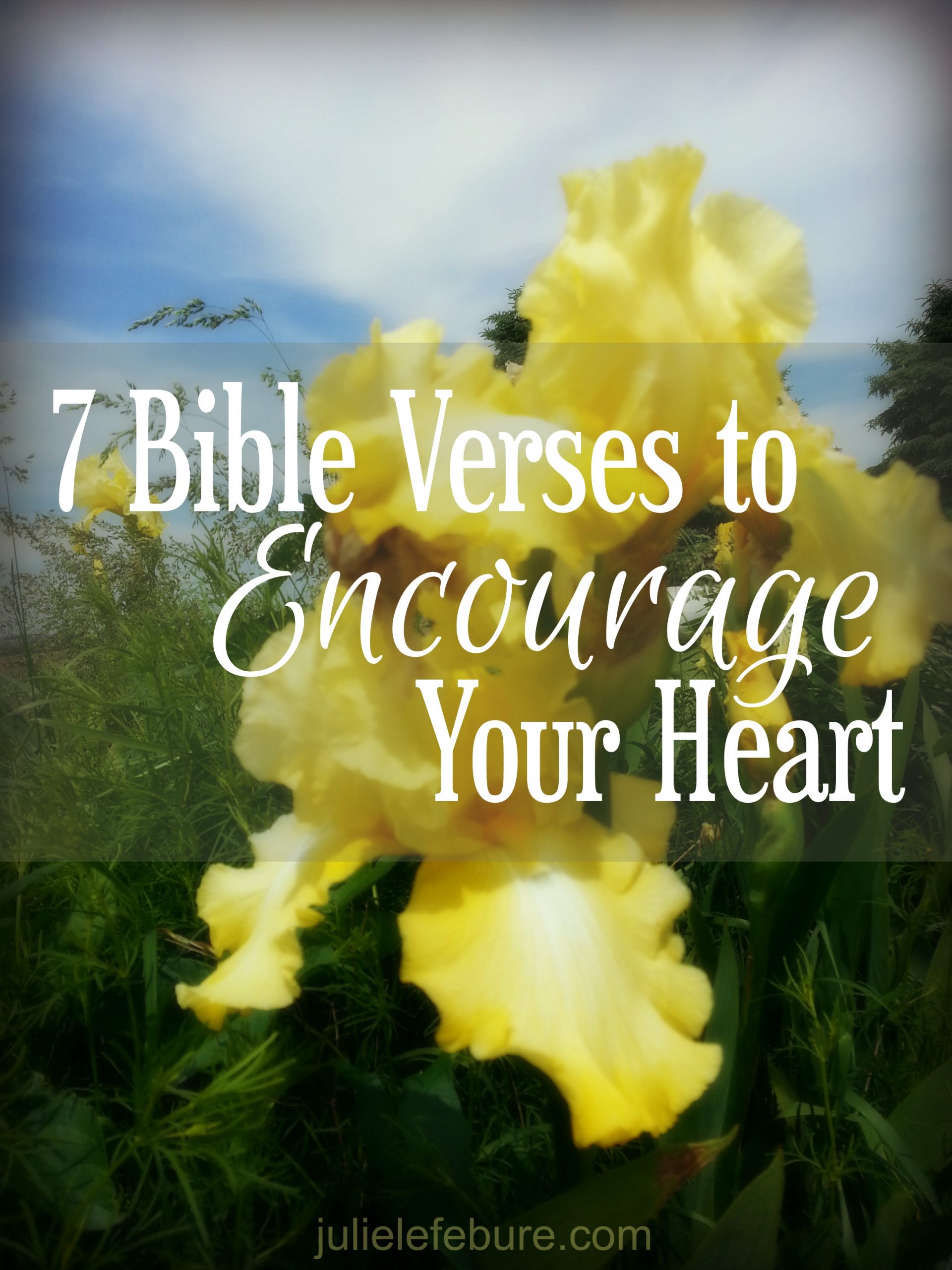 7 Bible Verses To Encourage Your Heart