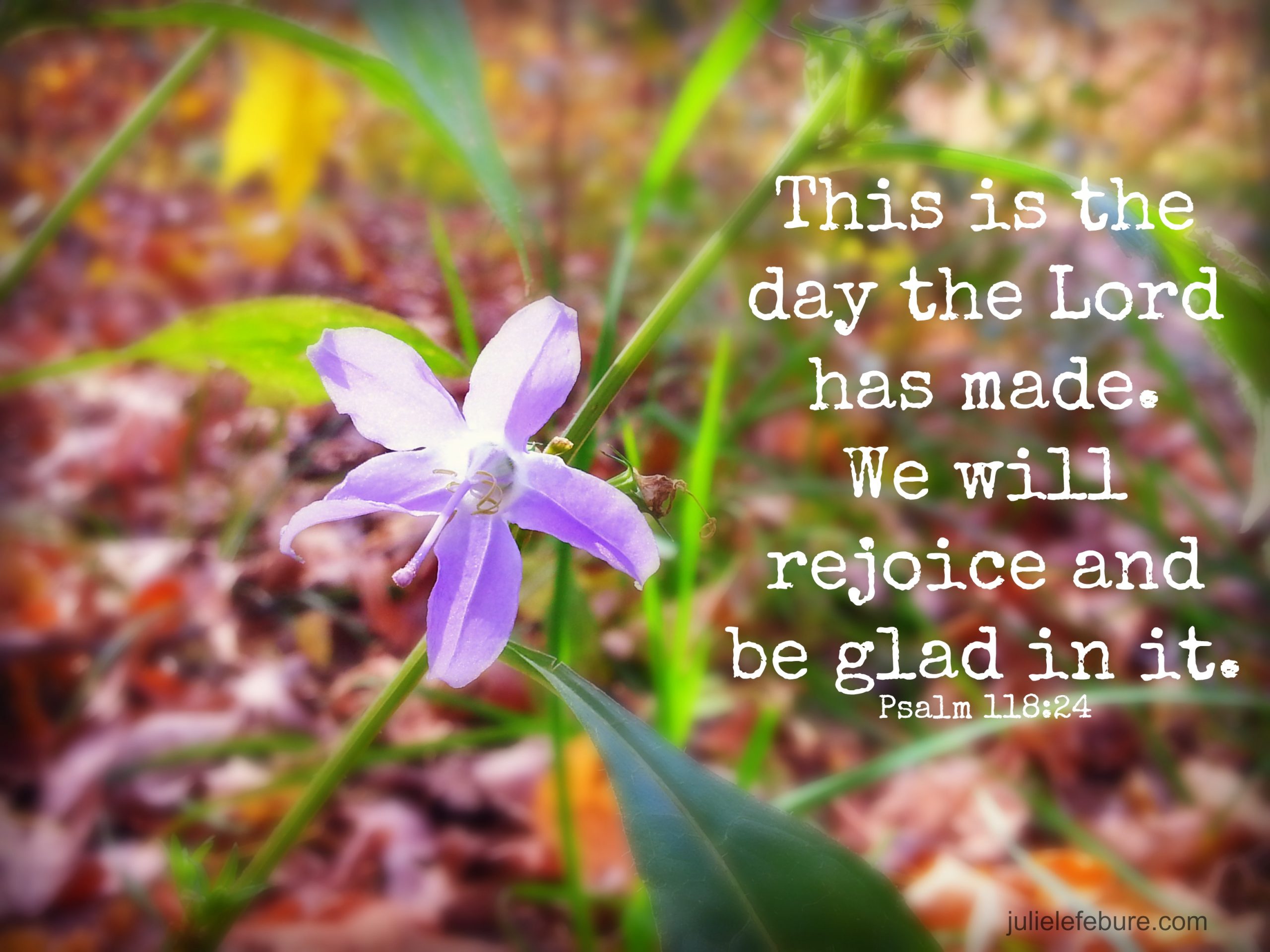 What’s Special About An Every-Day Kind Of Day?