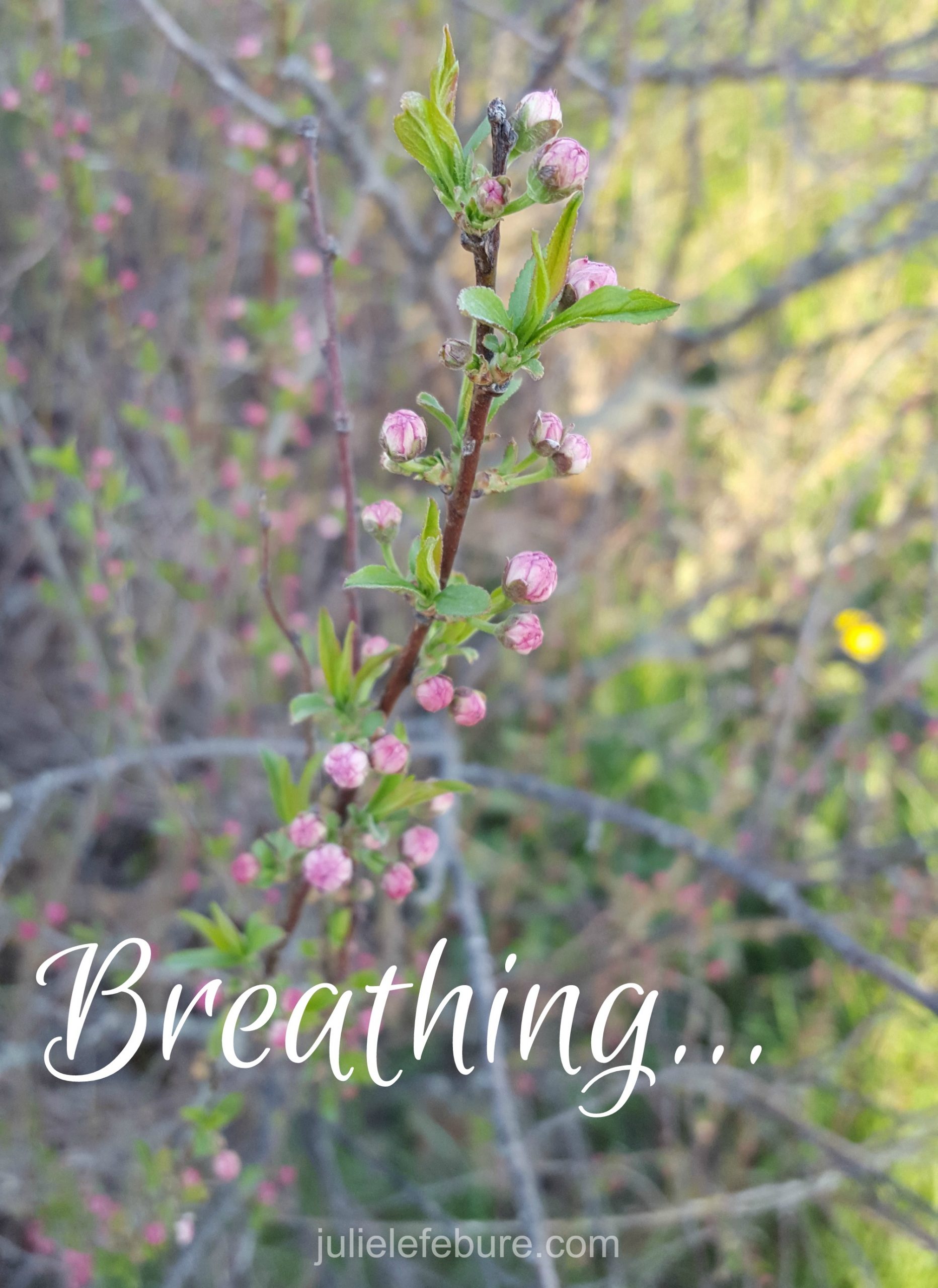 Breathing, When You Feel Like Screaming