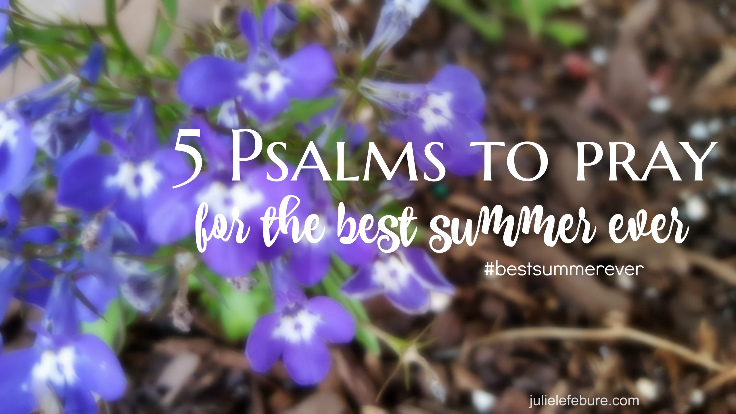 5 Psalms To Pray For The Best Summer Ever