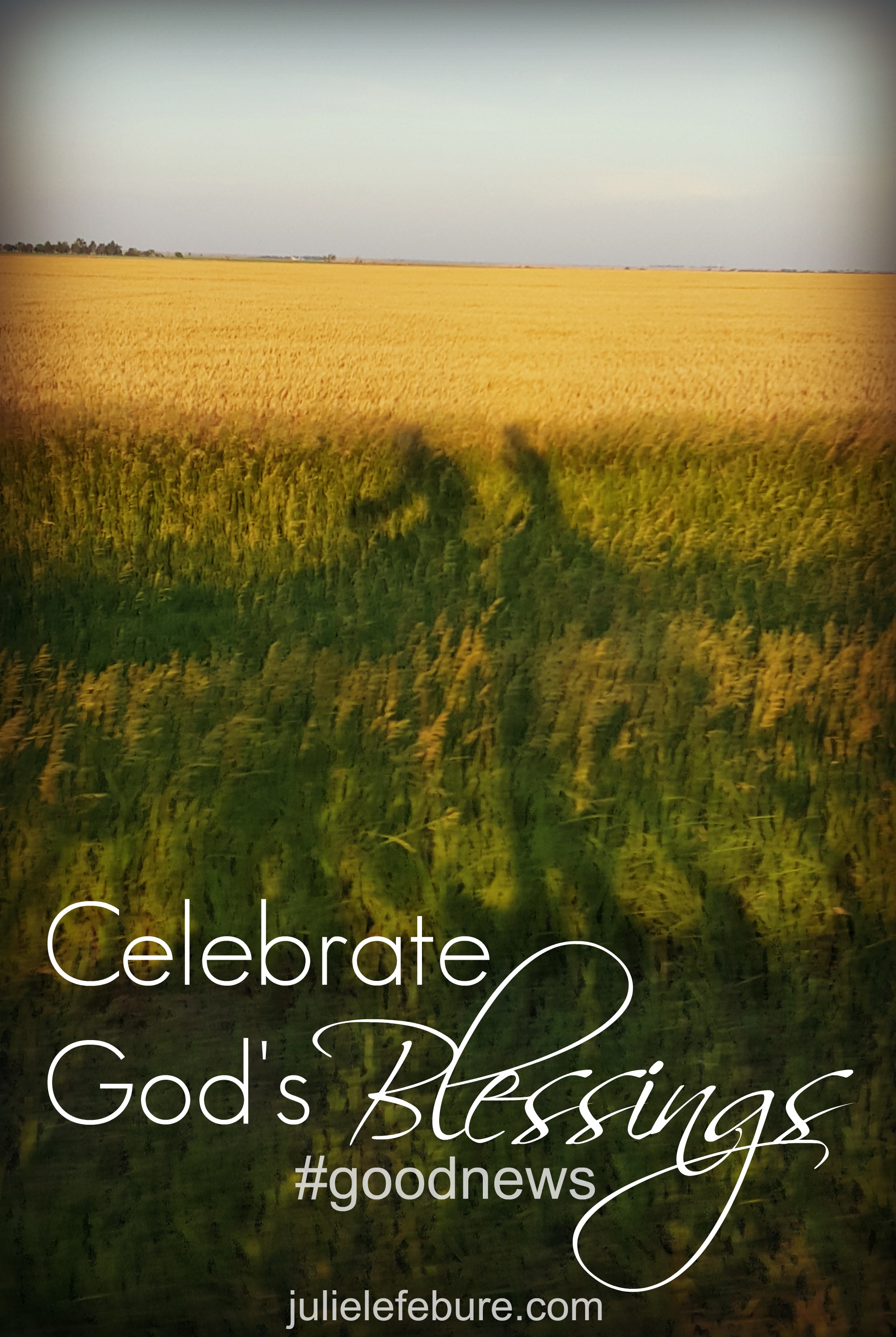 A Good News Day Celebrate God's Blessings Julie Lefebure