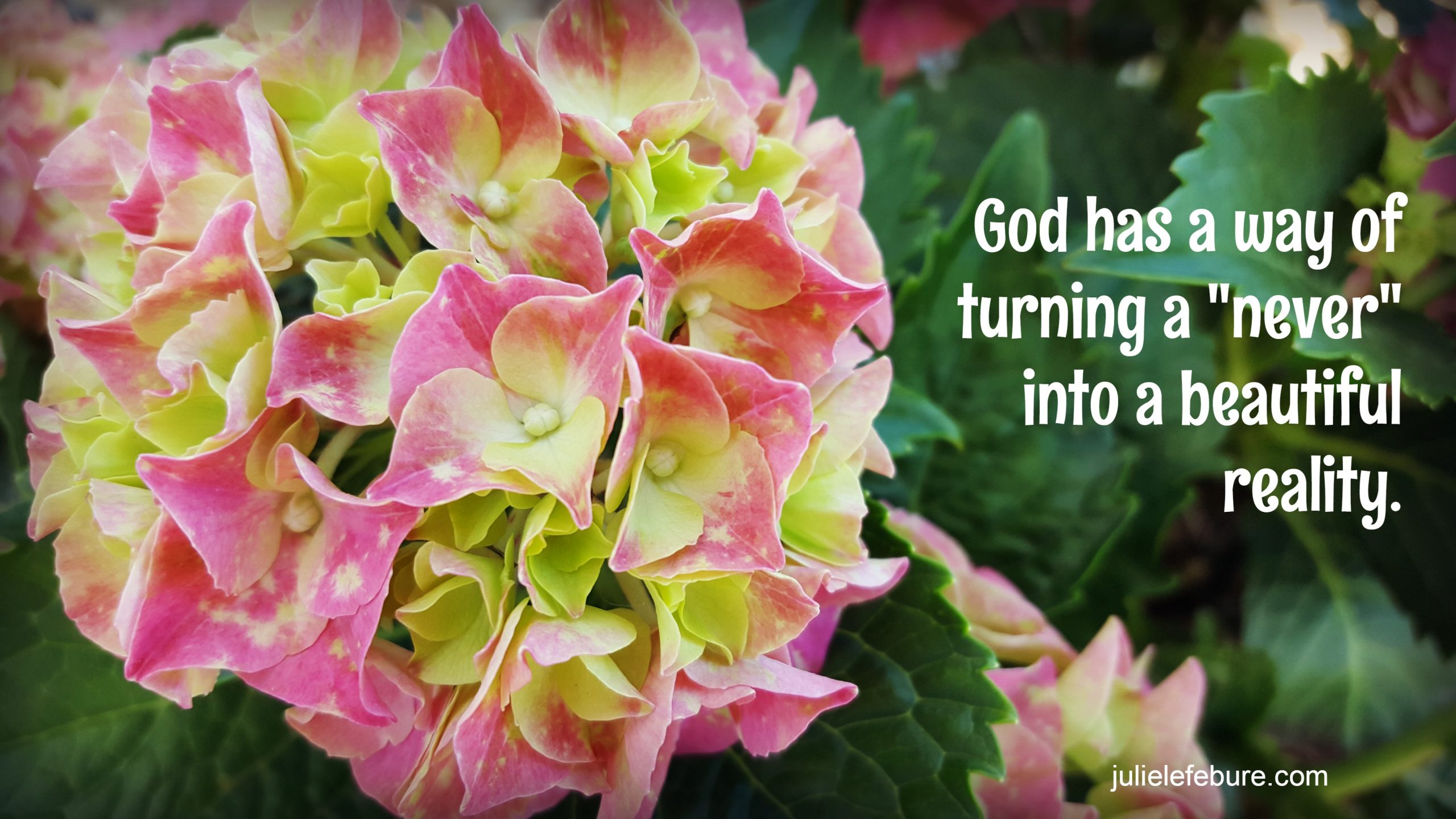 When You Never Want To Say Never Again Julie Lefebure