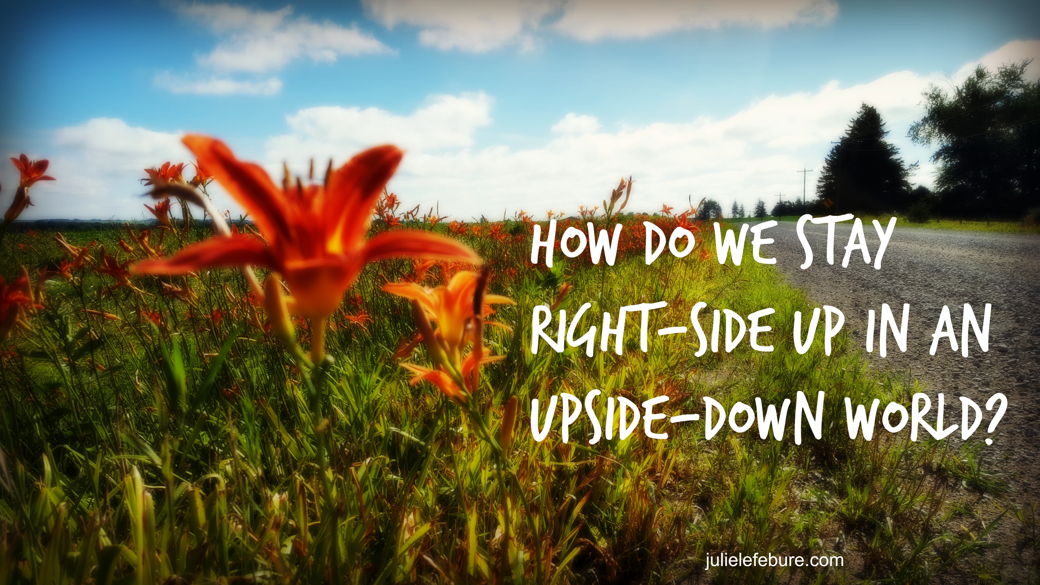 Staying Right Side Up In An Upside Down World Julie Lefebure