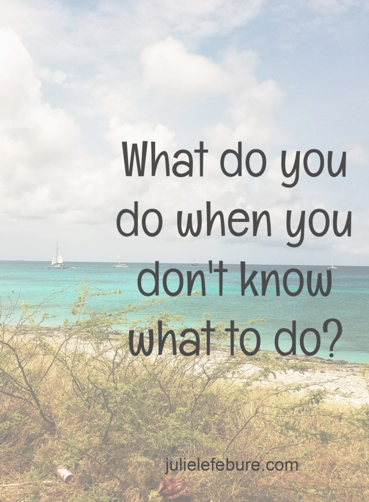 What Do You Do When You Don't Know What To Do? - Julie Lefebure