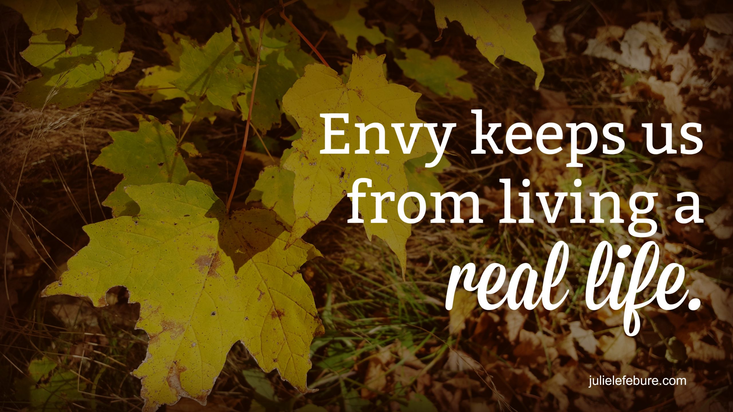 Living A Real Life With No Room For Envy