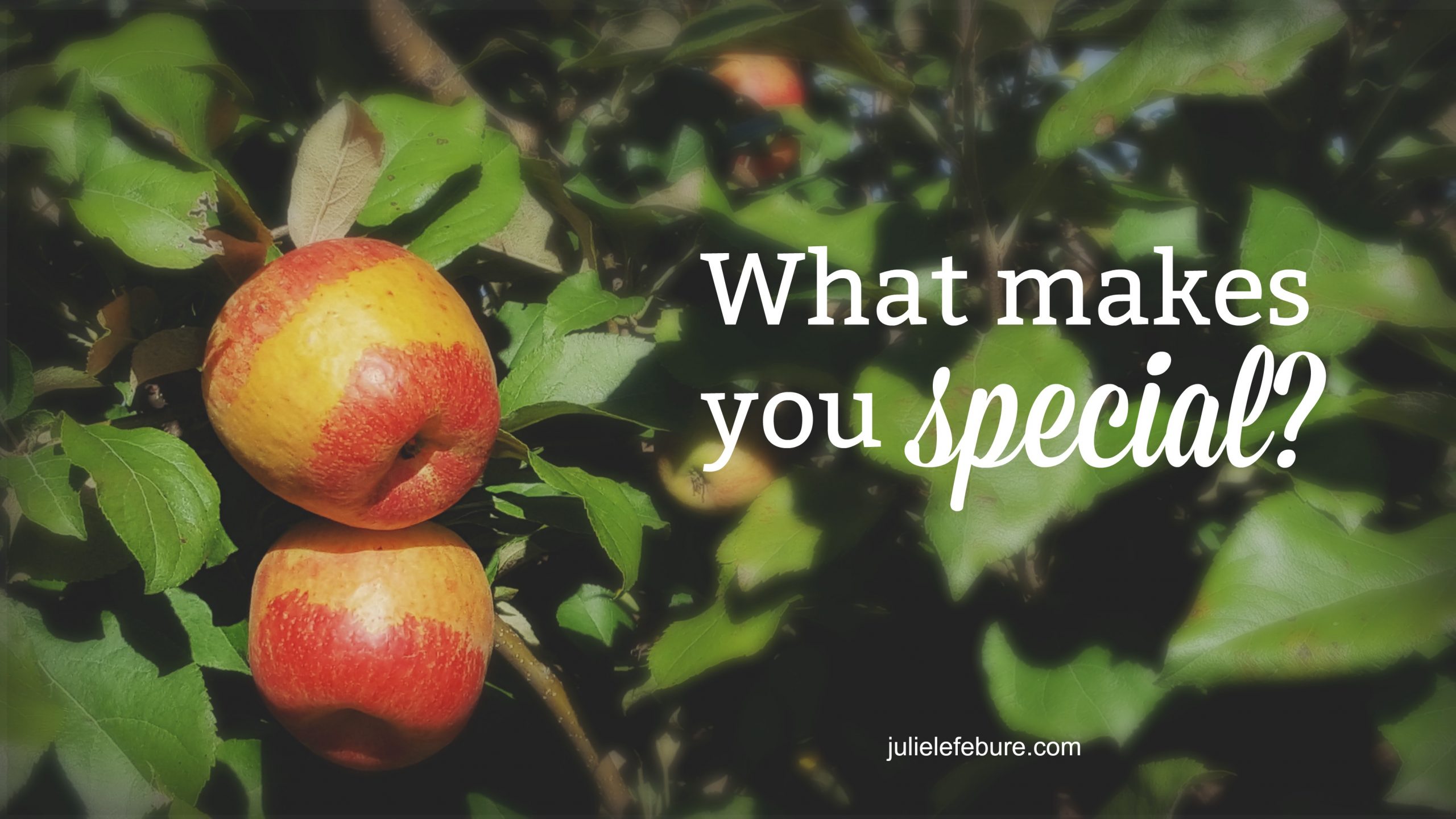Living A Real Life – What Makes You Special?