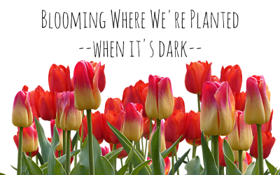 Blooming Where We’re Planted – When It’s Dark