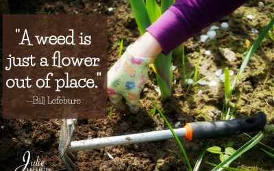 Could That Weed Really Be A Flower In Disguise?