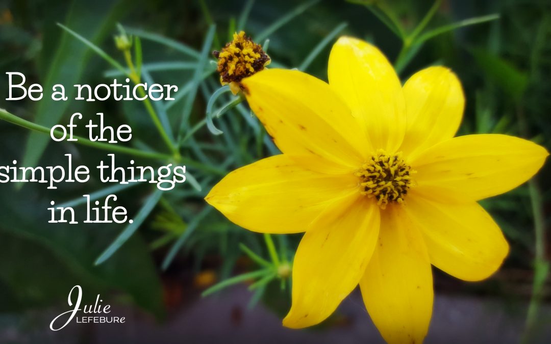 Be A Noticer Of The Simple Things In Life