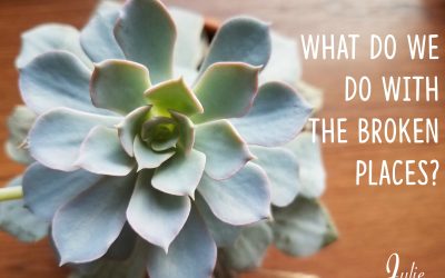 What Do We Do With The Broken Places?