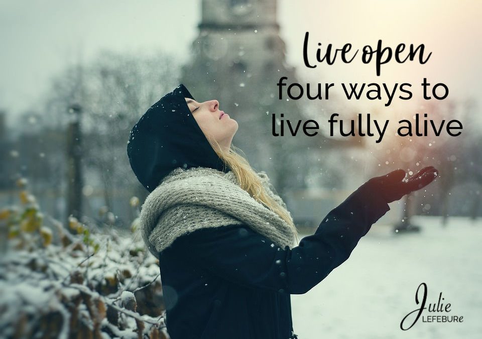Live Open – 4 Ways To Live Fully Alive