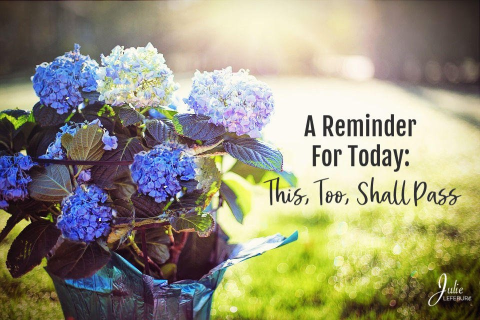 A reminder for today: this, too, shall pass.
