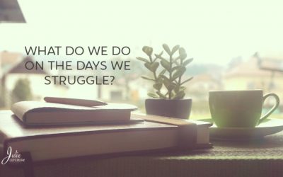 What Do We Do On The Days We Struggle?