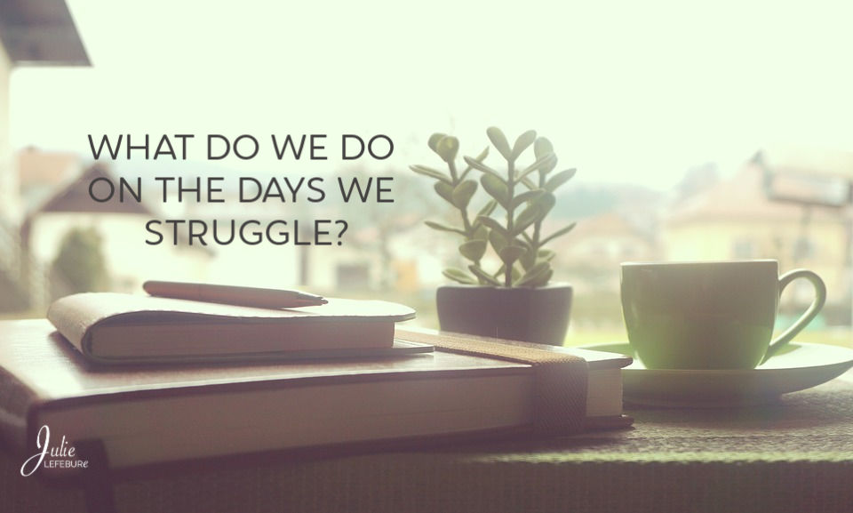 What Do We Do On The Days We Struggle?