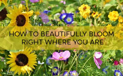 How To Beautifully Bloom, Right Where You Are