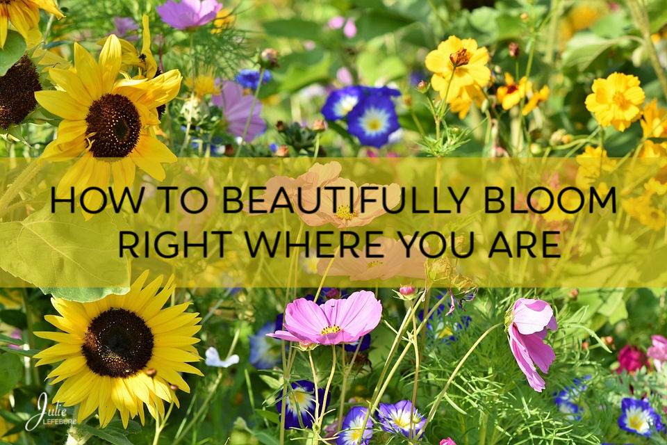 How To Beautifully Bloom Right Where You Are