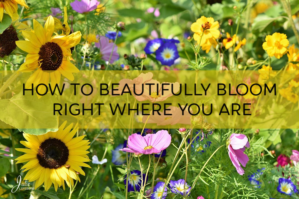 How To Beautifully Bloom, Right Where You Are