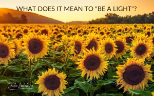 What does it mean to "be a light"? | sunflower field with sunshine behind it