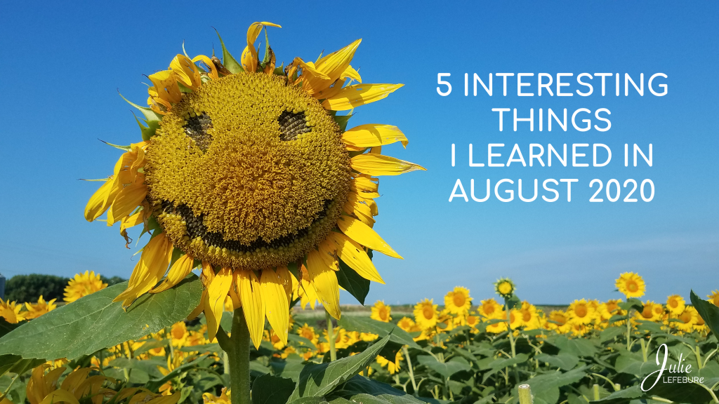 5 Interesting Things I Learned in August 2020