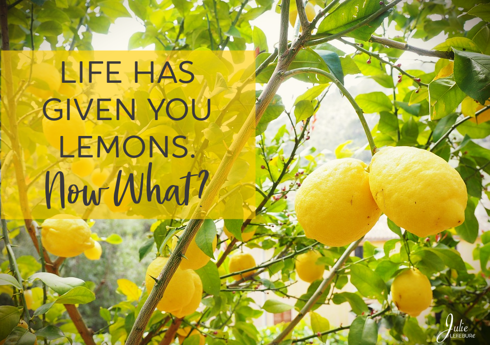 Life Has Given You Lemons. Now What?