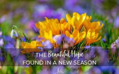 The Beautiful Hope Found In A New Season