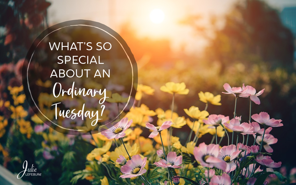 What’s So Special About An Ordinary Tuesday?