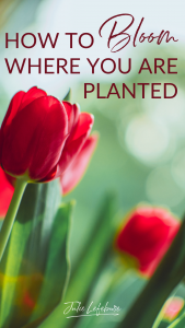 How to Bloom Where You Are Planted Part 1