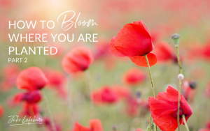 How to bloom where you are planted - part 2