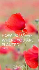 How to bloom where you are planted - part 2