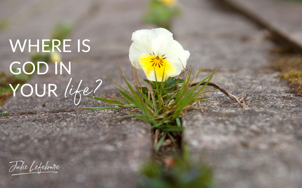 Where Is God in Your life?   flower poking through sidewalk