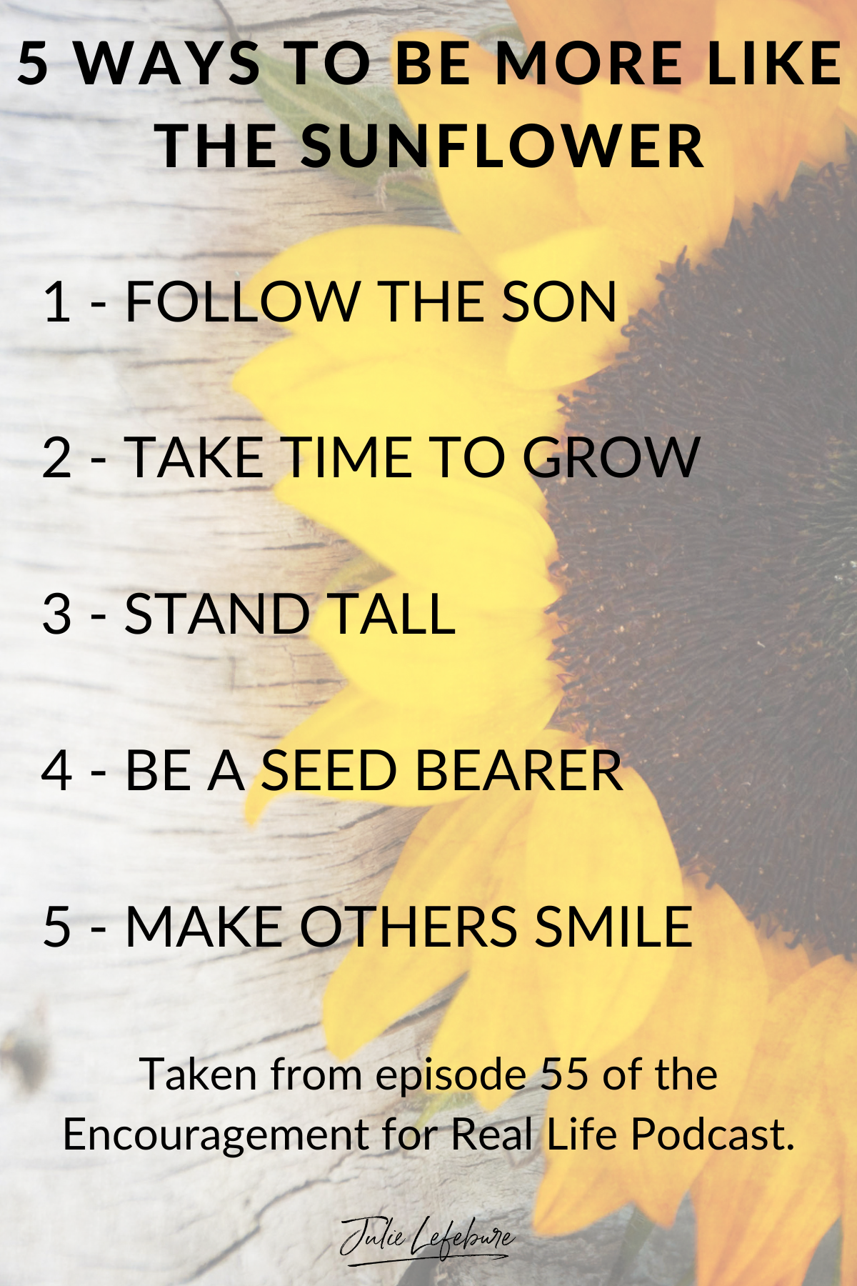 5 Ways to Be More Like the Sunflower | faded sunflower in background