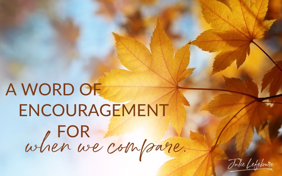 A Word of Encouragement for When We Compare | autumn leaves in sunshine