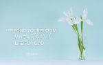Beyond Your Bloom: Living a Fruitful Life for God